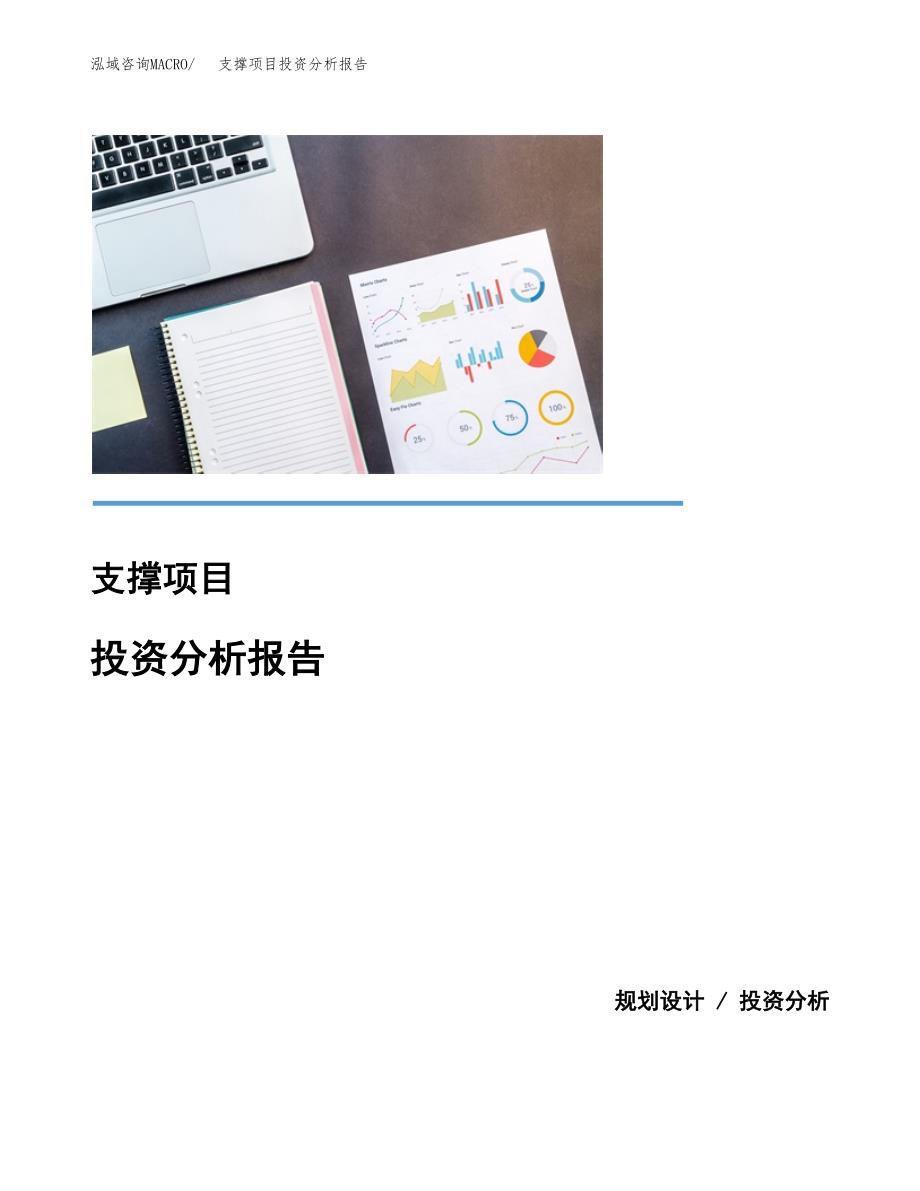 支撑项目投资分析报告(总投资17000万元)_第1页