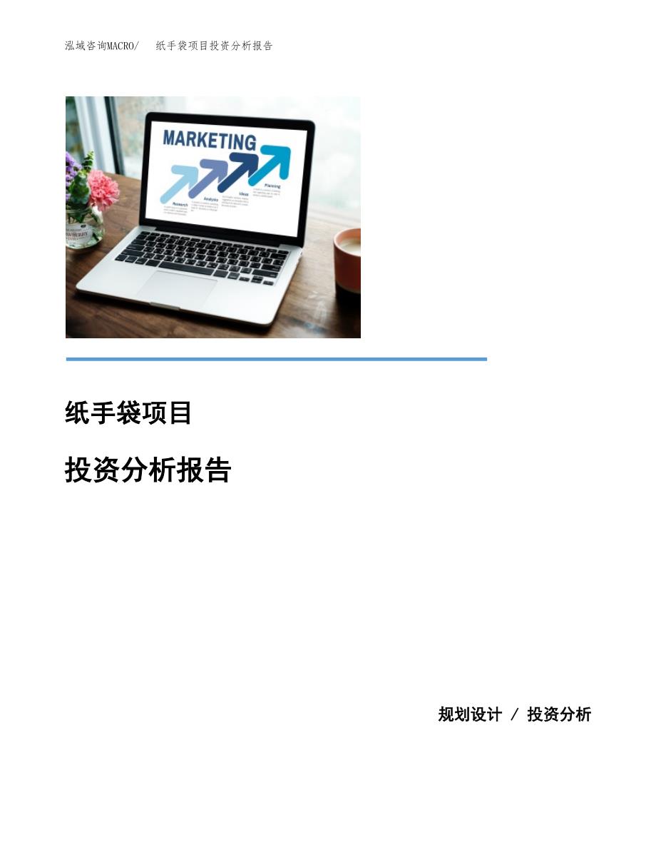 纸手袋项目投资分析报告(总投资5000万元)_第1页