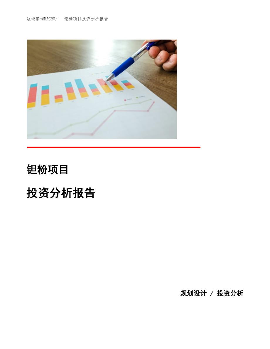 钽粉项目投资分析报告(总投资22000万元)_第1页