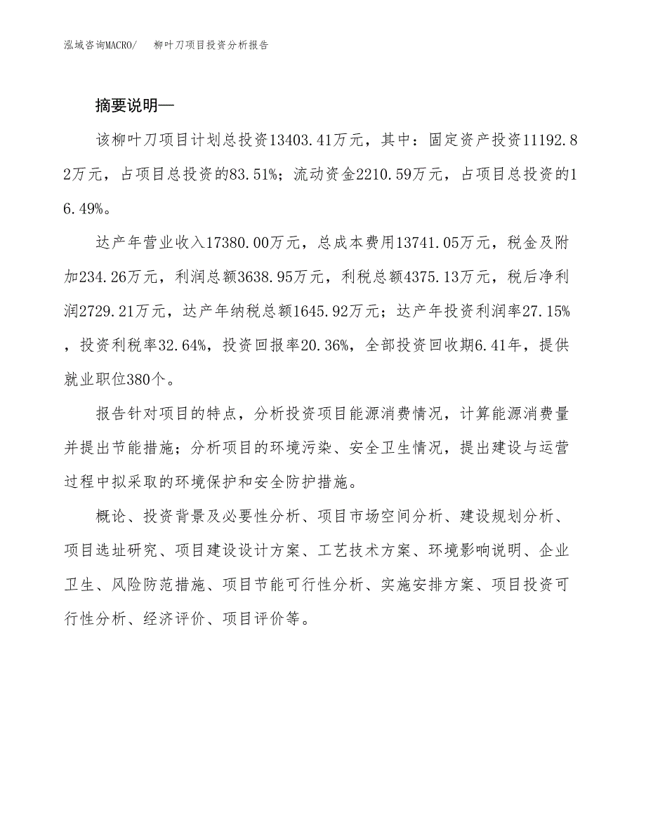 柳叶刀项目投资分析报告(总投资13000万元)_第2页