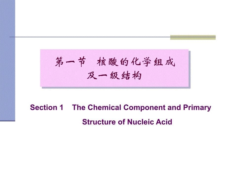 生物化学2核酸结构与功能10.10章节_第5页