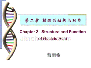 生物化学2核酸结构与功能10.10章节