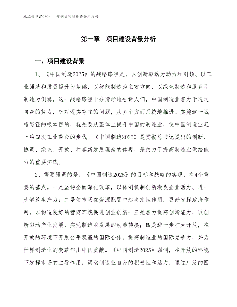 矽钢锭项目投资分析报告(总投资13000万元)_第3页