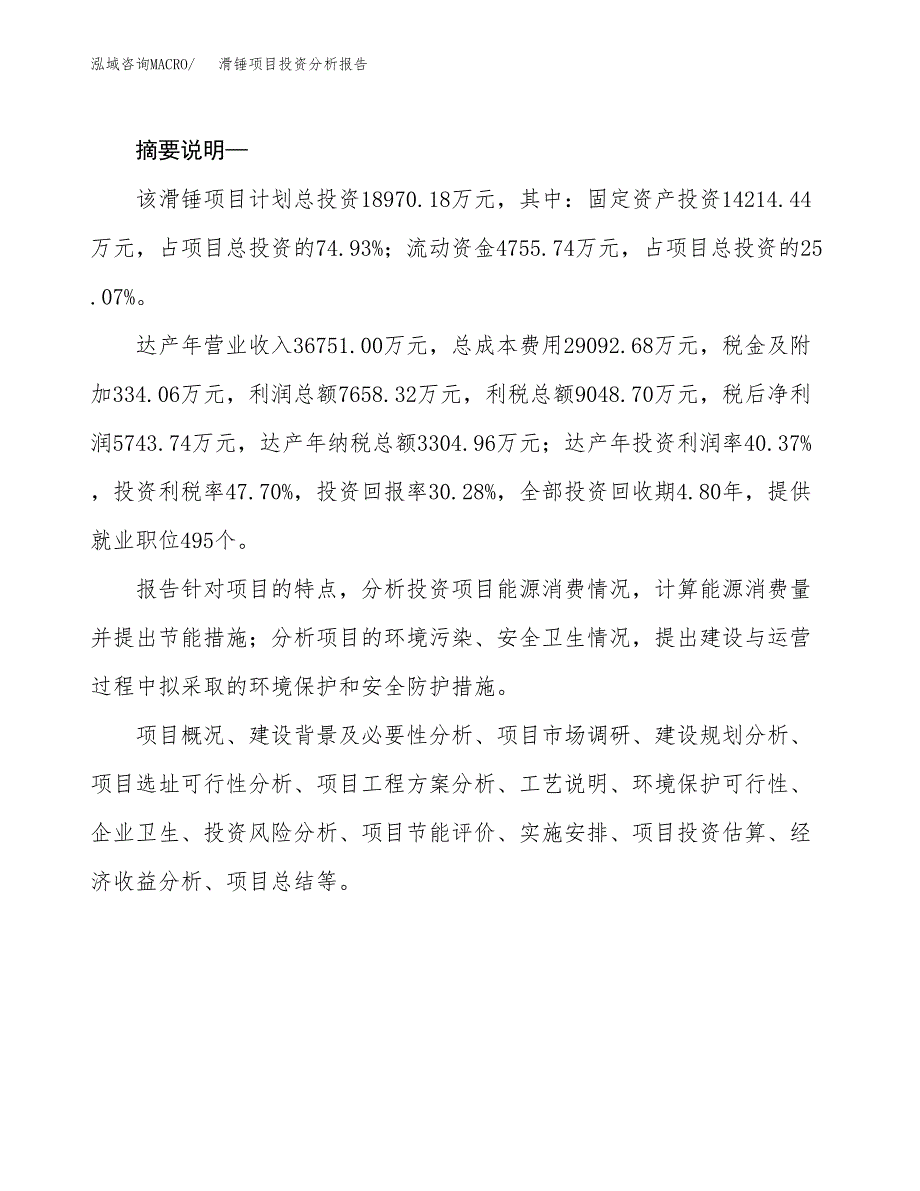 滑锤项目投资分析报告(总投资19000万元)_第2页