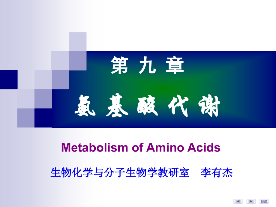 生化课件氨基酸代谢2章节_第1页