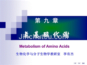 生化课件氨基酸代谢2章节