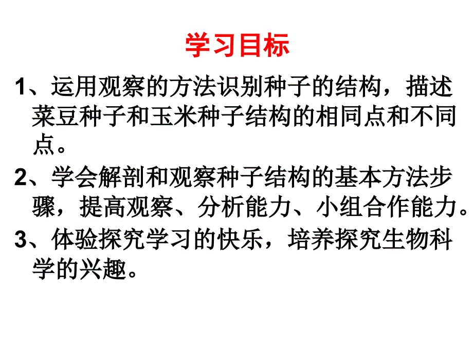 观察种子 结构 实验_第3页