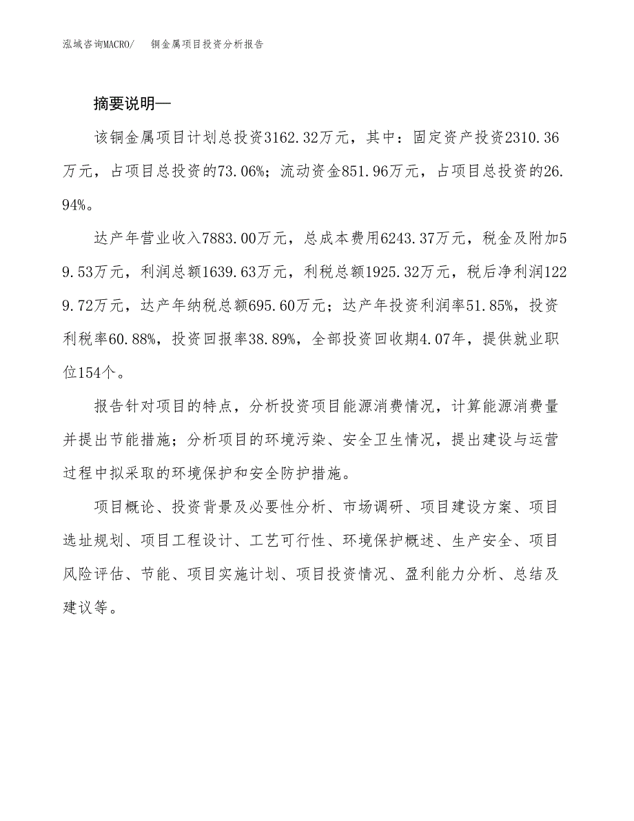 铜金属项目投资分析报告(总投资3000万元)_第2页