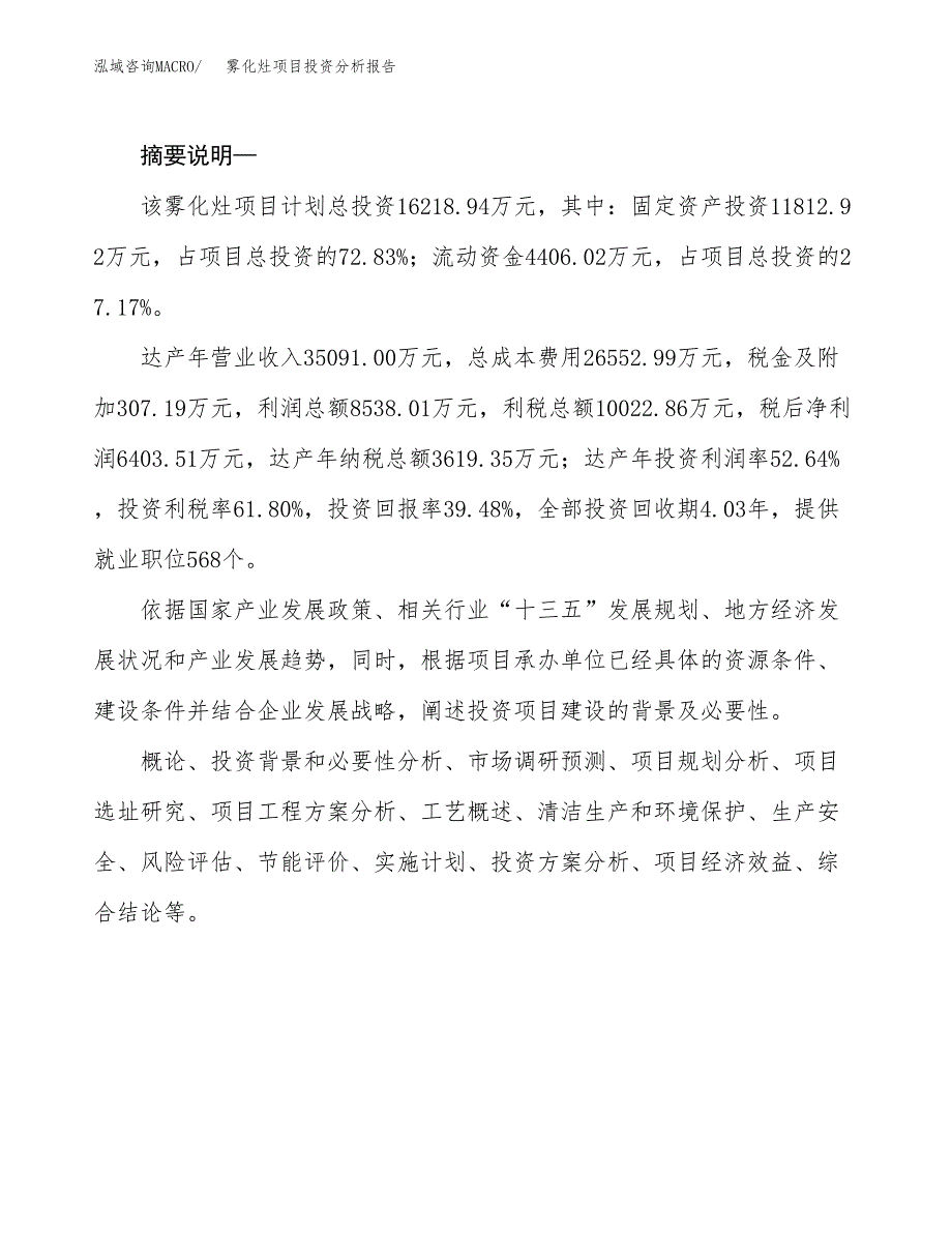 雾化灶项目投资分析报告(总投资16000万元)_第2页