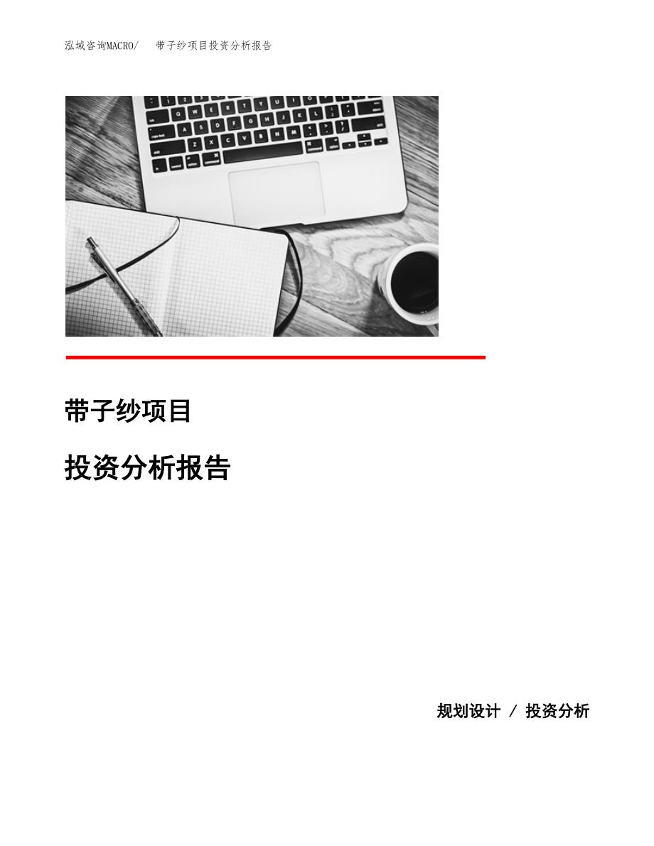 带子纱项目投资分析报告(总投资9000万元)_第1页