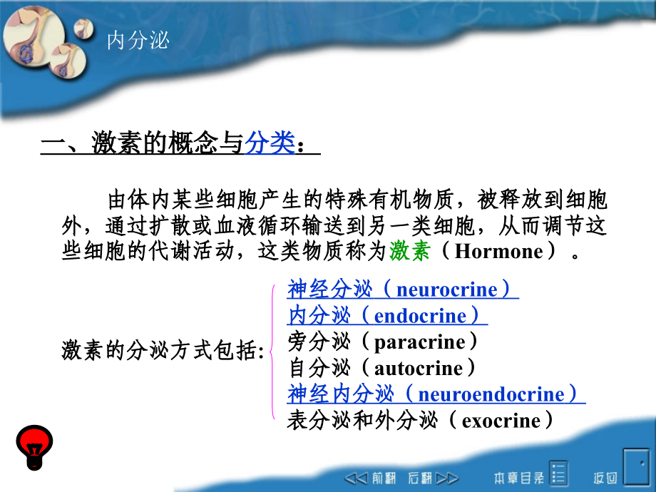 生理课件endocrine_第3页