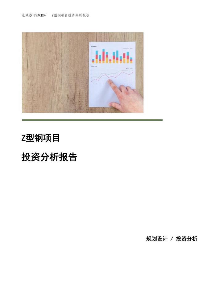Z型钢项目投资分析报告(总投资17000万元)