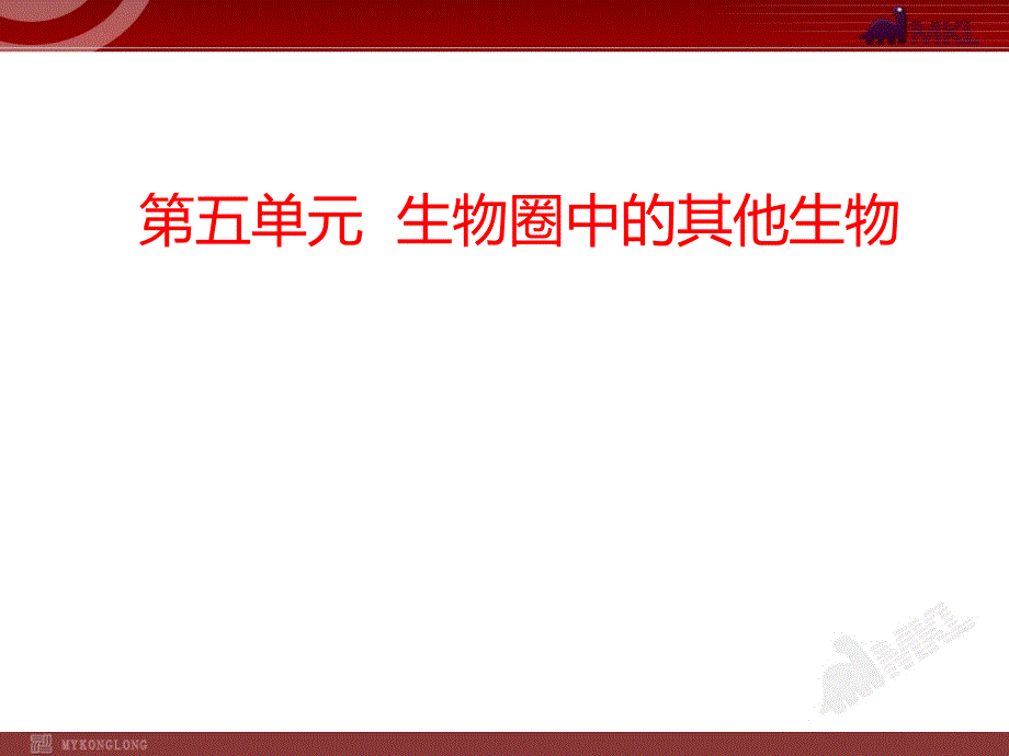 生物中考2014年中考生物专题复习课件8份2014届中考生物复习课件第5单元生物圈中的其他生物_第1页