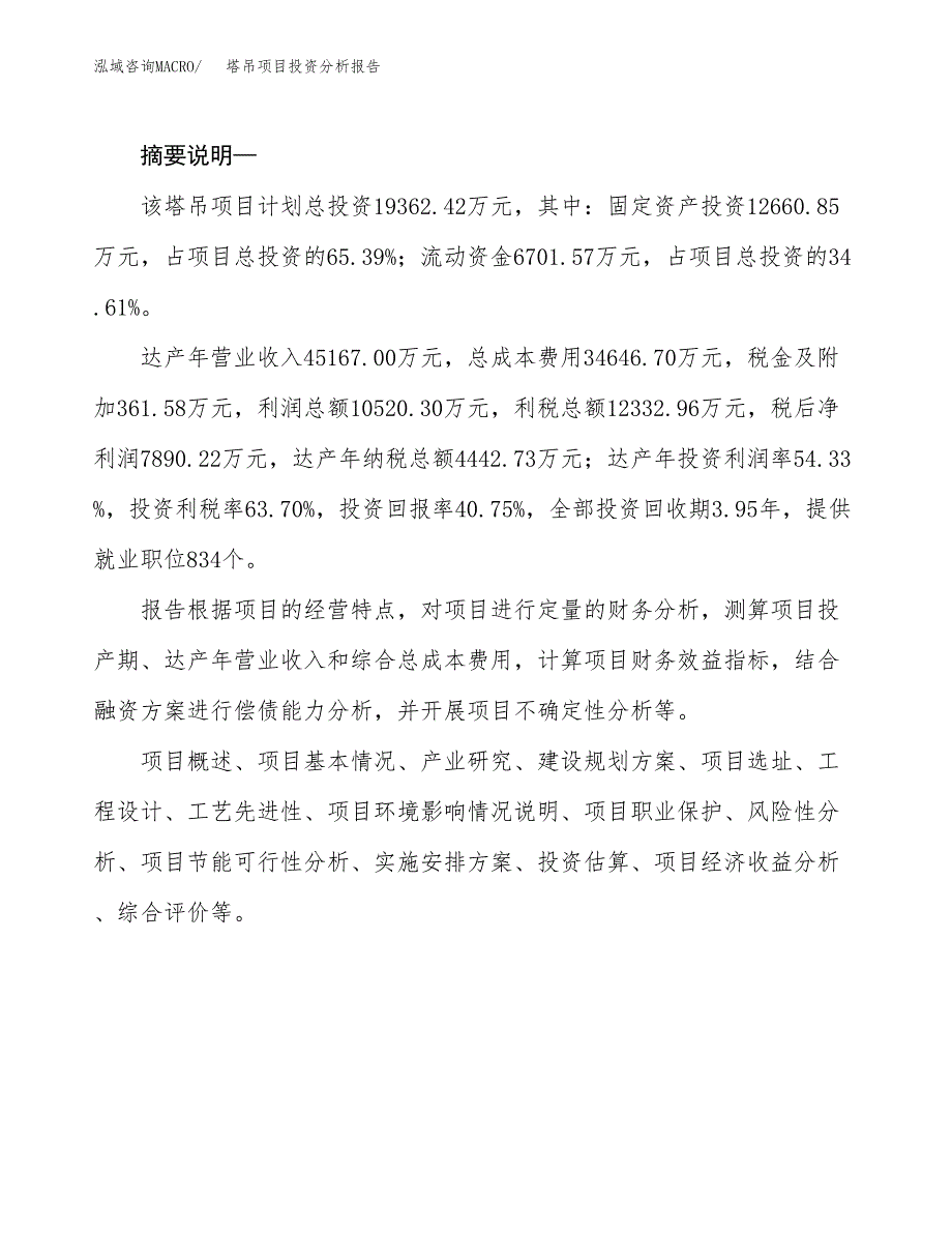 塔吊项目投资分析报告(总投资19000万元)_第2页