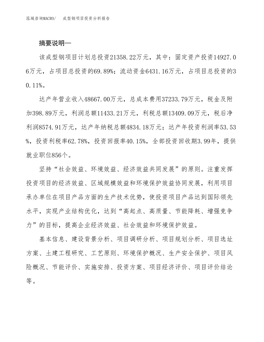 成型钢项目投资分析报告(总投资21000万元)_第2页