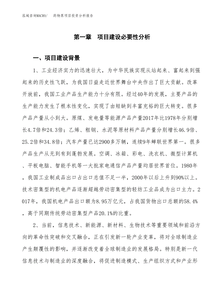 药物泵项目投资分析报告(总投资15000万元)_第3页