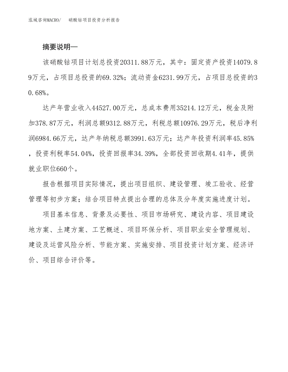 硝酸钴项目投资分析报告(总投资20000万元)_第2页