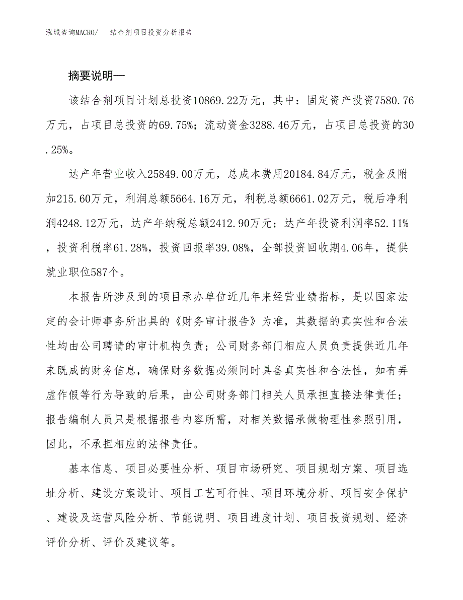 结合剂项目投资分析报告(总投资11000万元)_第2页