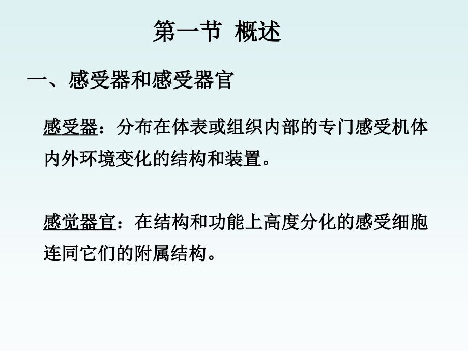 神经系统31神经系统的感觉功能_第4页