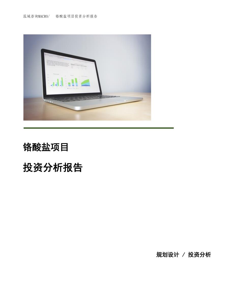 铬酸盐项目投资分析报告(总投资10000万元)_第1页