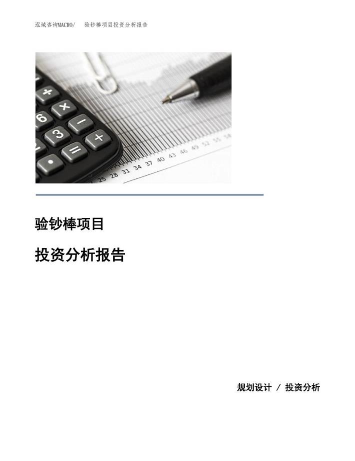 验钞棒项目投资分析报告(总投资3000万元)