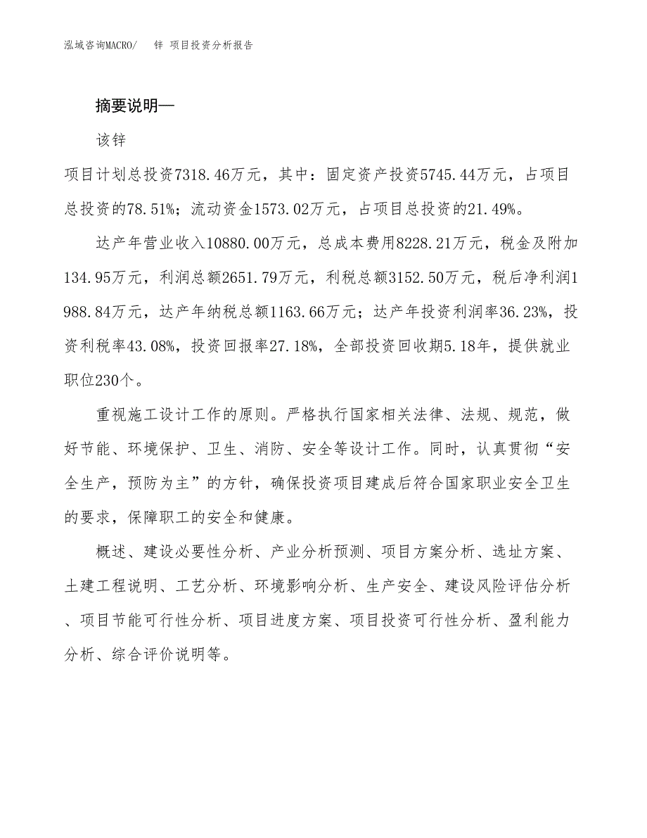 锌 项目投资分析报告(总投资7000万元)_第2页