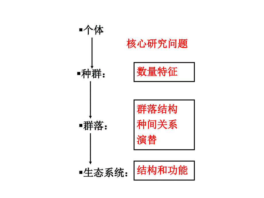 生态复习课件_第2页