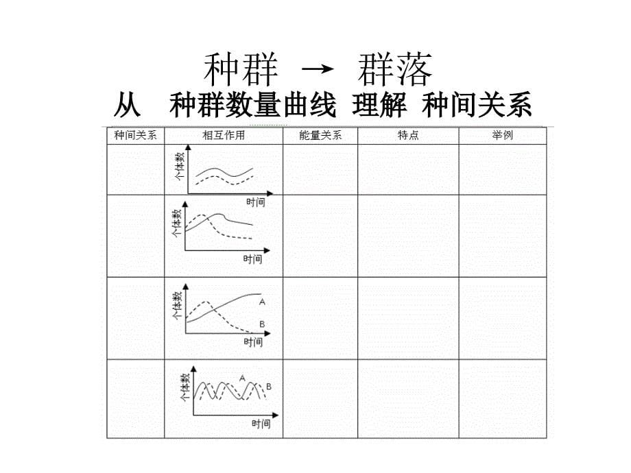 生态复习课件_第5页