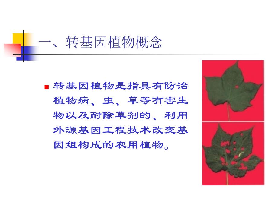 生物农药生物农药课程讲稿5章节_第3页