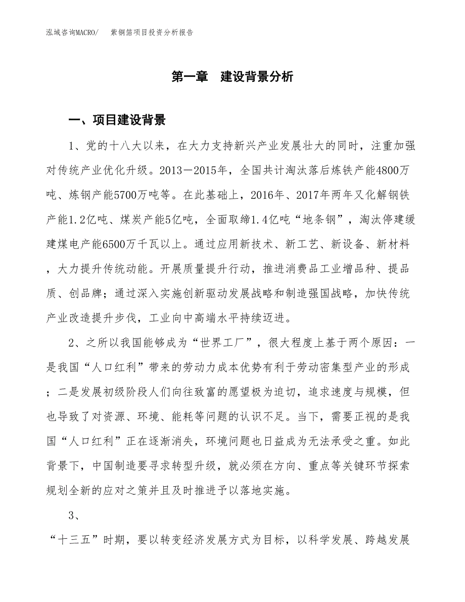 紫铜箔项目投资分析报告(总投资18000万元)_第3页