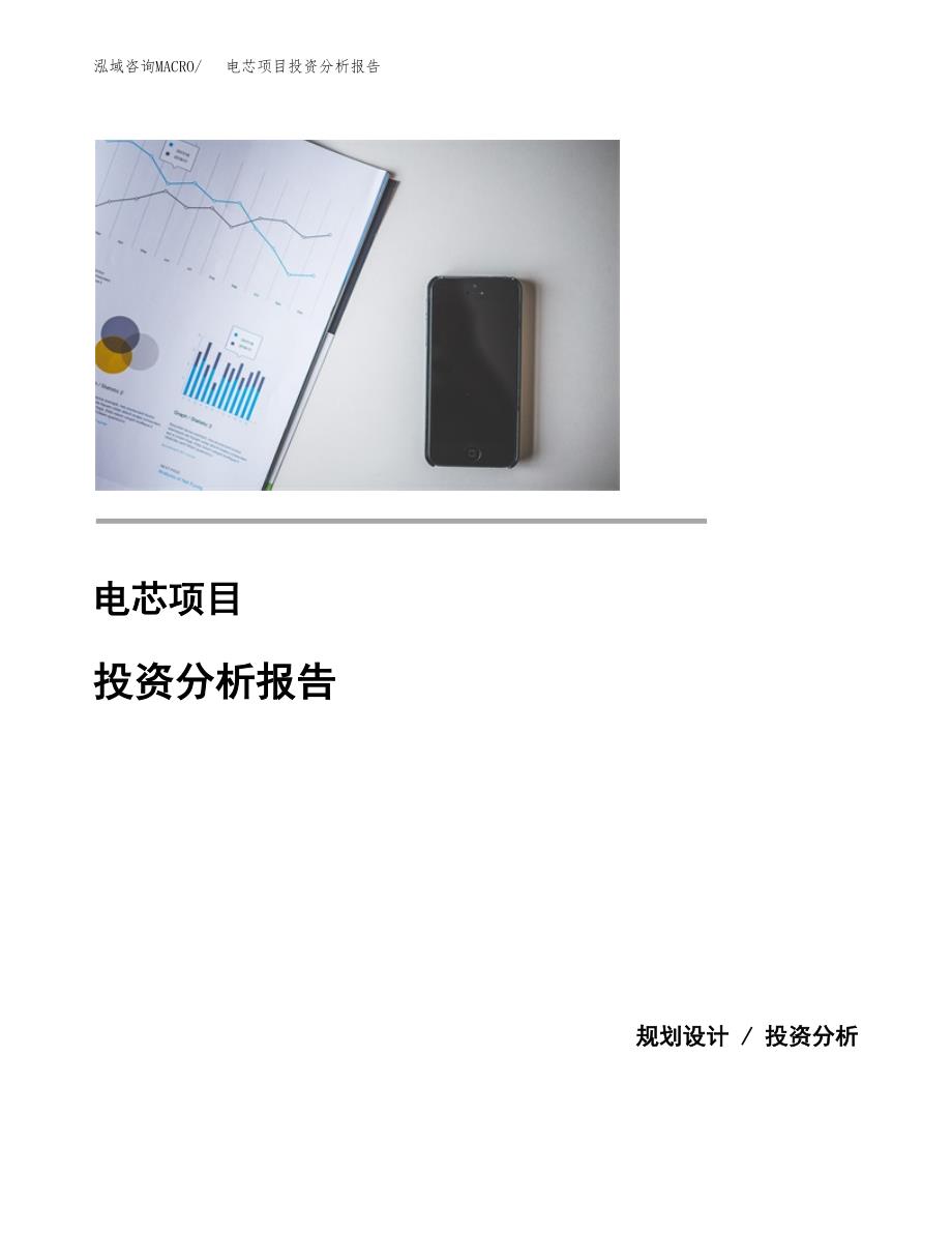 电芯项目投资分析报告(总投资7000万元)_第1页