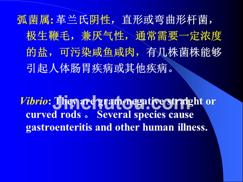 第二章食品微生物的 形态 学2_第5页