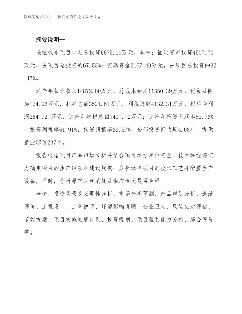 植绒布项目投资分析报告(总投资7000万元)_第2页