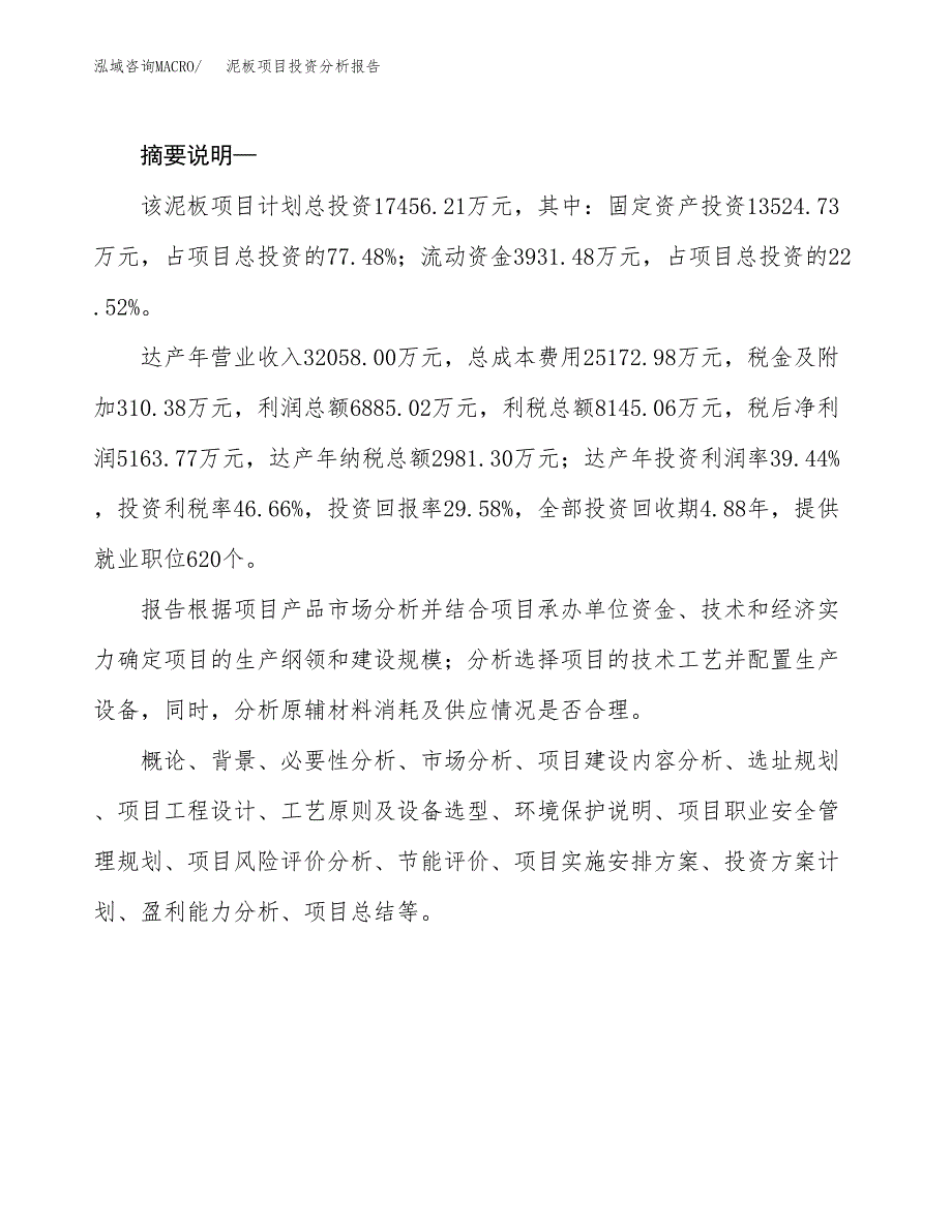 泥板项目投资分析报告(总投资17000万元)_第2页