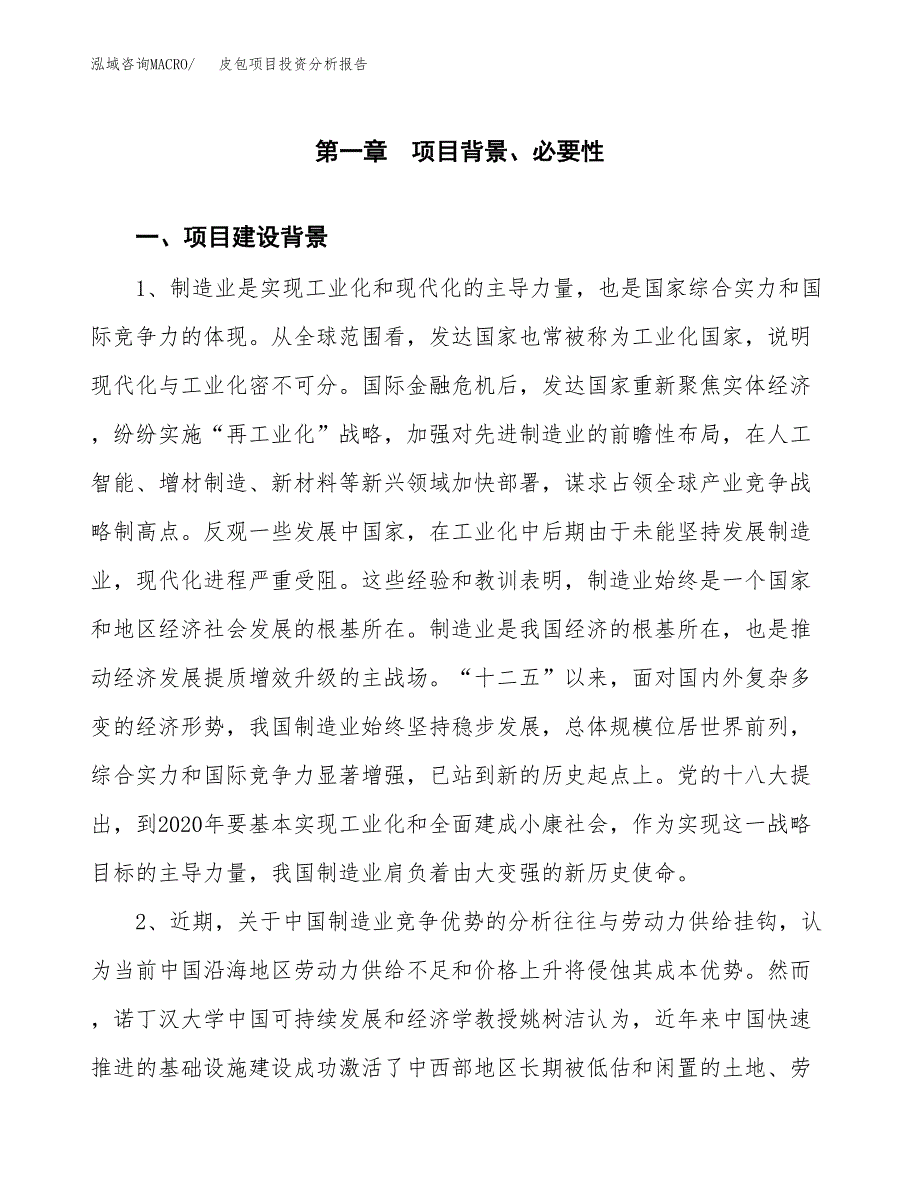 皮包项目投资分析报告(总投资21000万元)_第3页