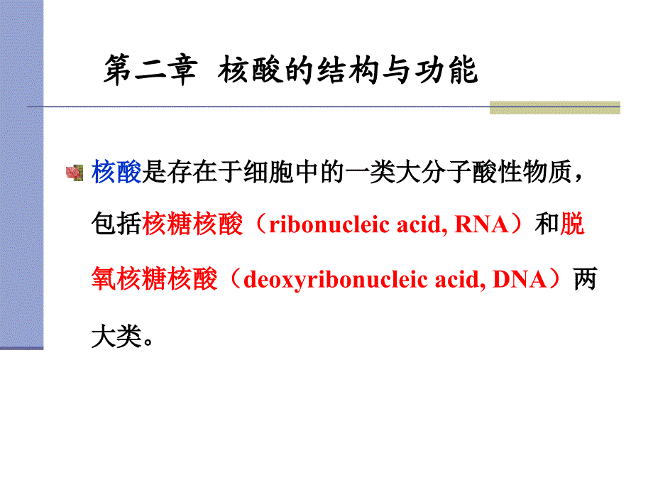 生物化学二核酸化学_第1页