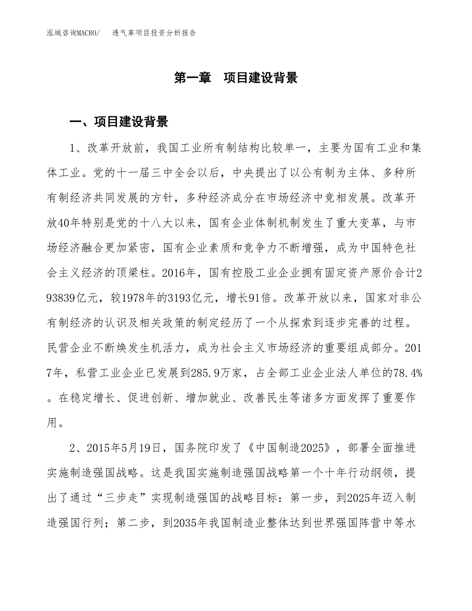 透气革项目投资分析报告(总投资16000万元)_第3页