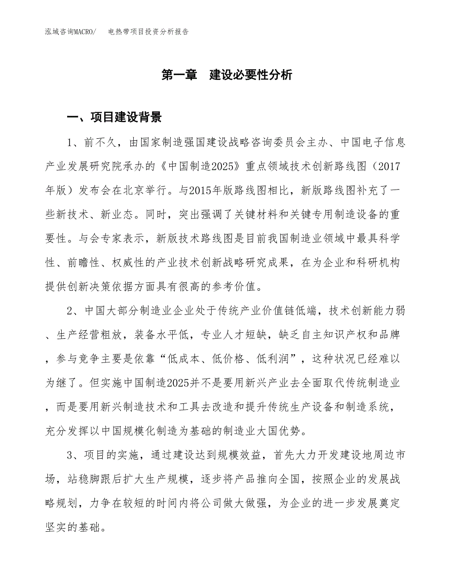 电热带项目投资分析报告(总投资14000万元)_第3页