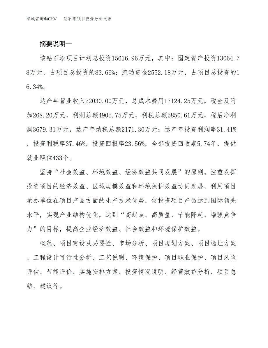 钻石漆项目投资分析报告(总投资16000万元)_第2页