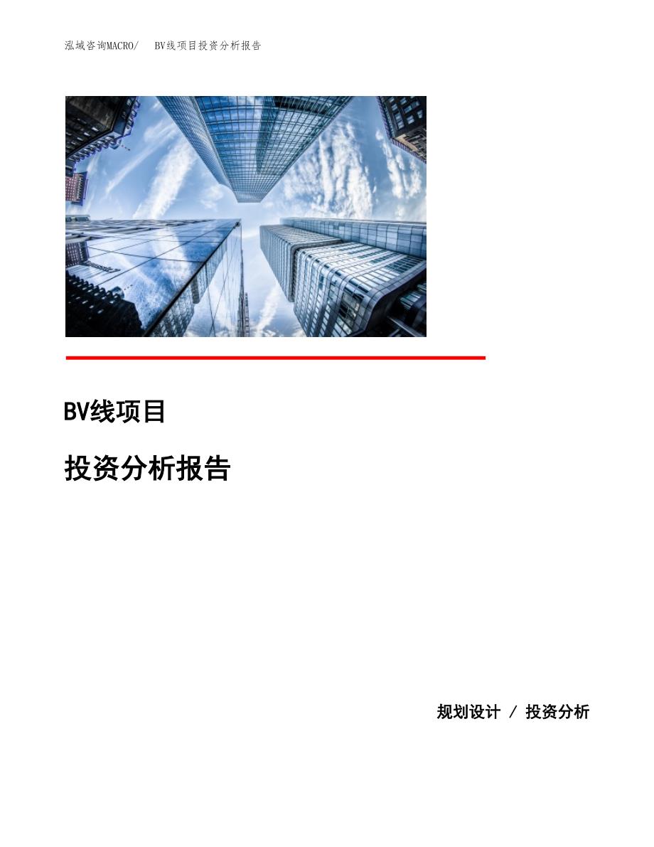 BV线项目投资分析报告(总投资15000万元)_第1页