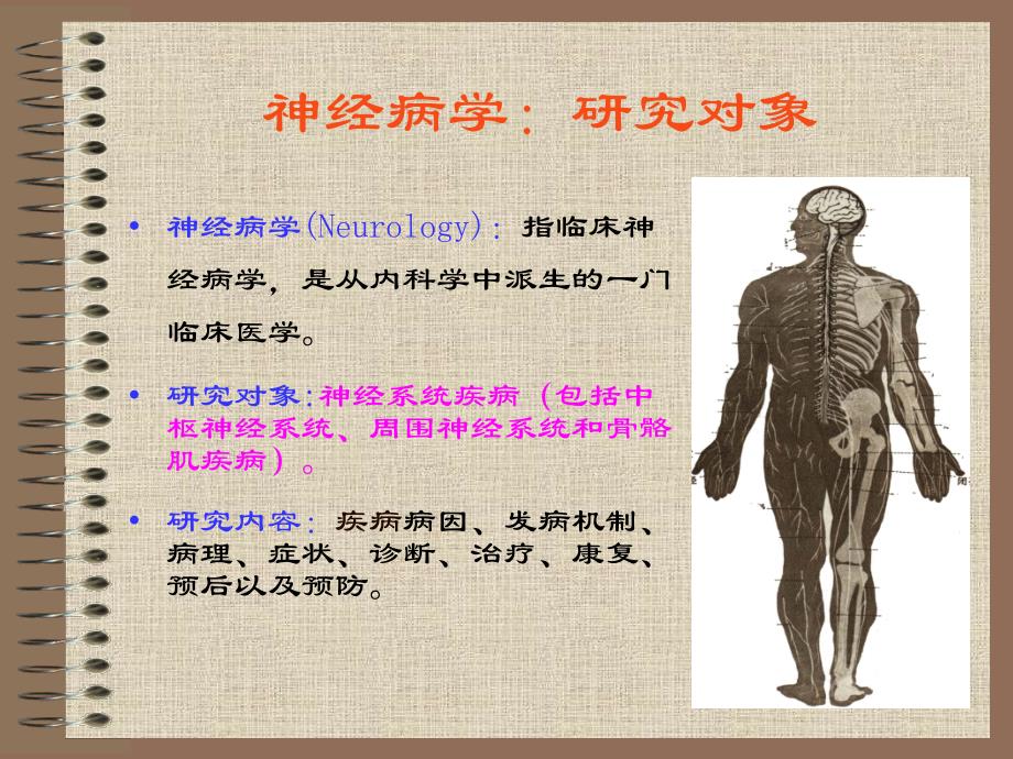 神经病学绪论与定位诊断_第2页