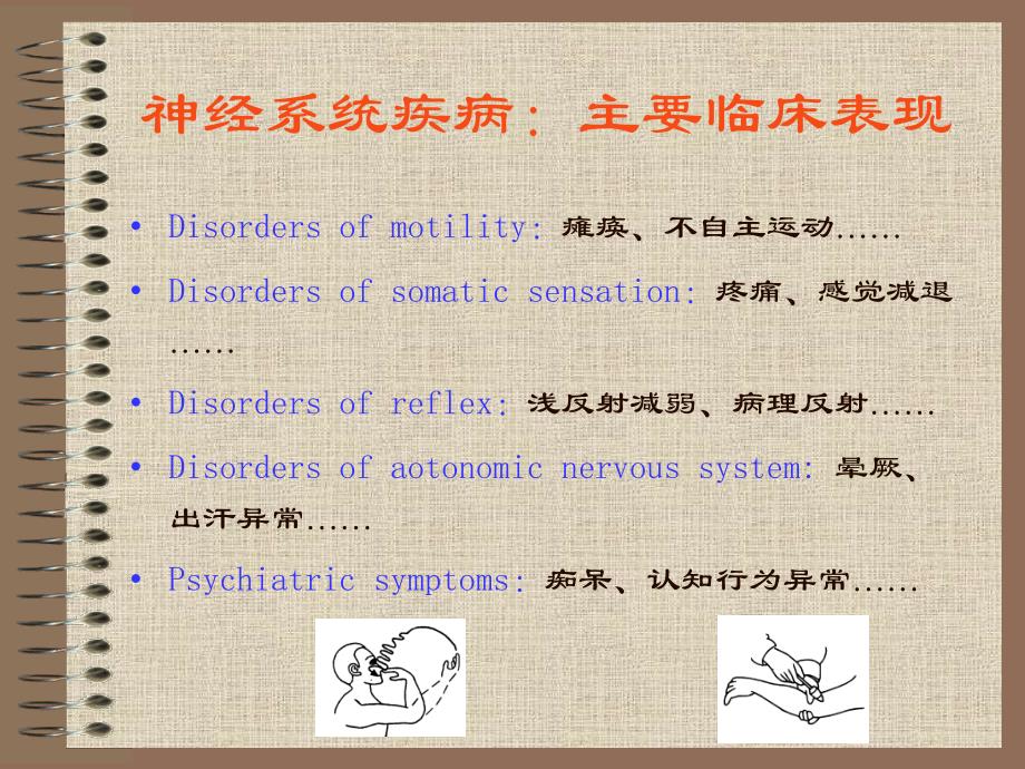 神经病学绪论与定位诊断_第4页