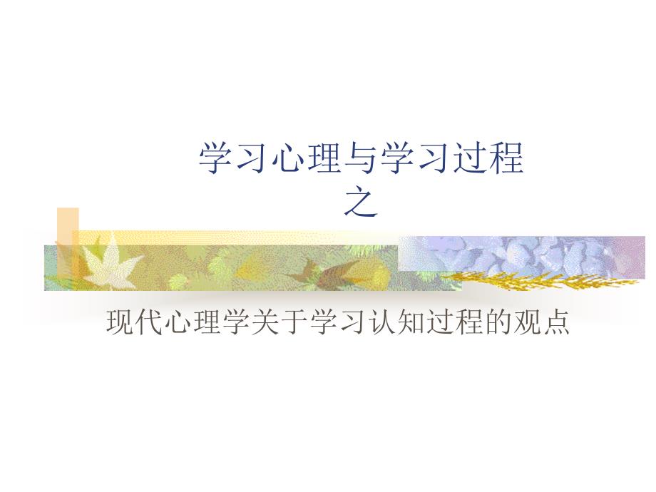 现代心理学关于学习认知过程的观点课件_第1页