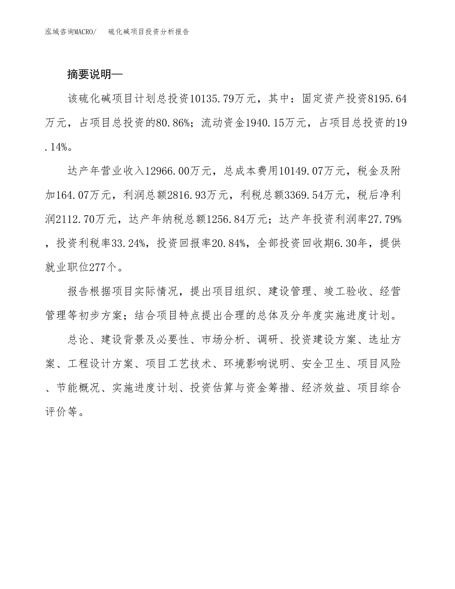 硫化碱项目投资分析报告(总投资10000万元)_第2页