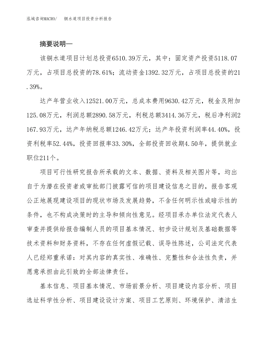 铜水道项目投资分析报告(总投资7000万元)_第2页