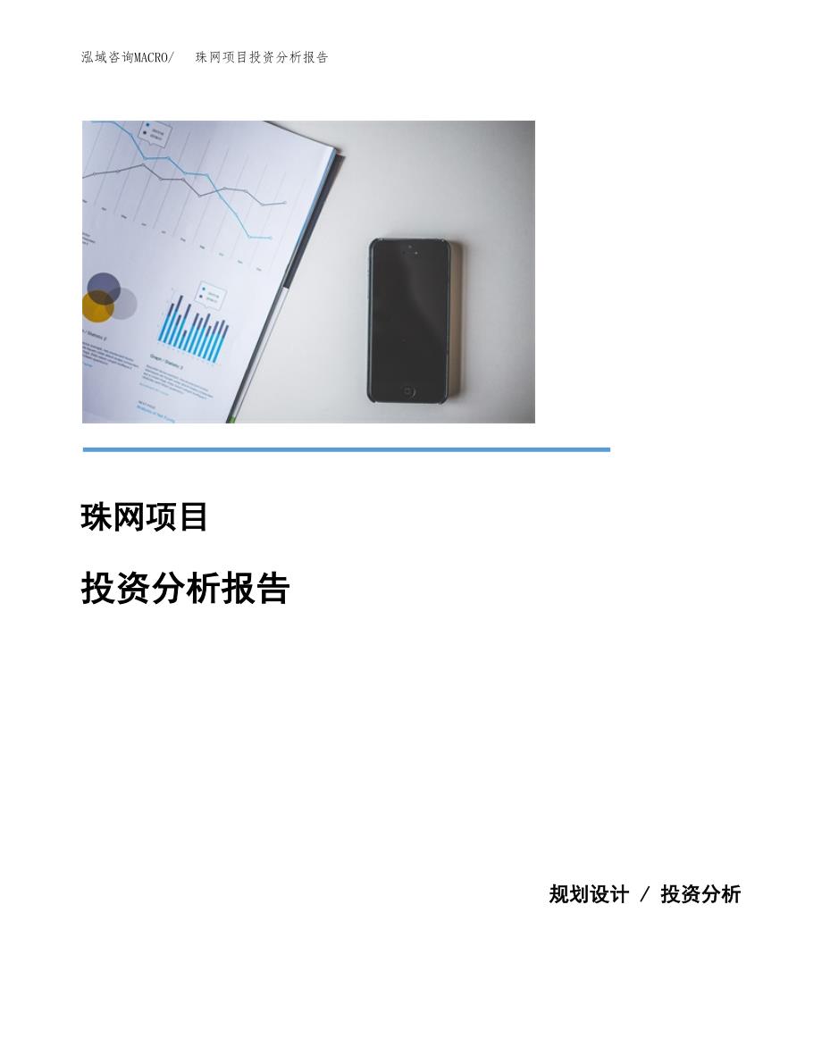 珠网项目投资分析报告(总投资8000万元)_第1页
