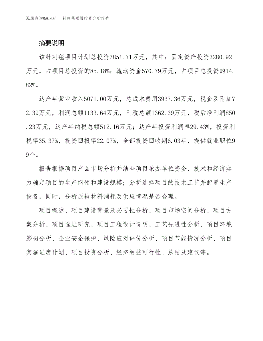 针刺毯项目投资分析报告(总投资4000万元)_第2页