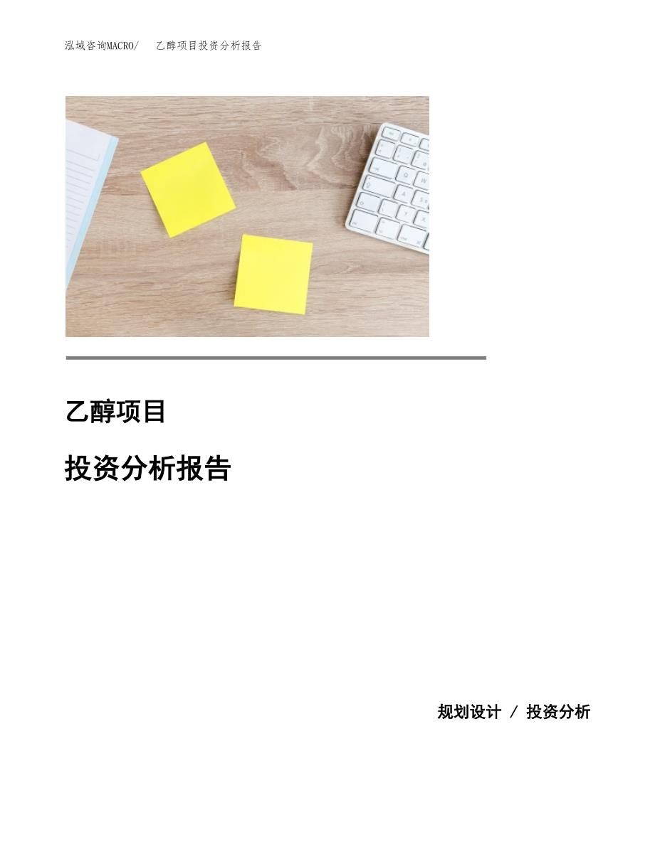 乙醇项目投资分析报告(总投资12000万元)_第1页