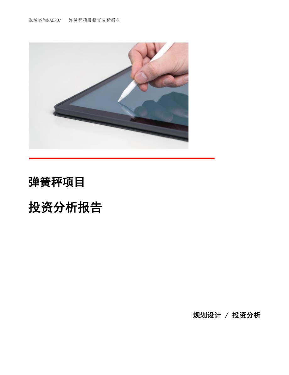 弹簧秤项目投资分析报告(总投资19000万元)_第1页