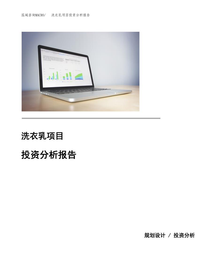 洗衣乳项目投资分析报告(总投资16000万元)_第1页